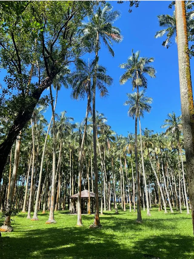 L’île de la Réunion