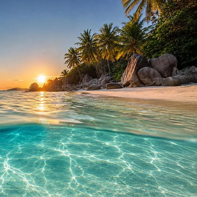 Maldives ou Seychelles ? 🐚