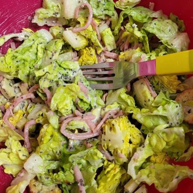 De la salade tous les jours !